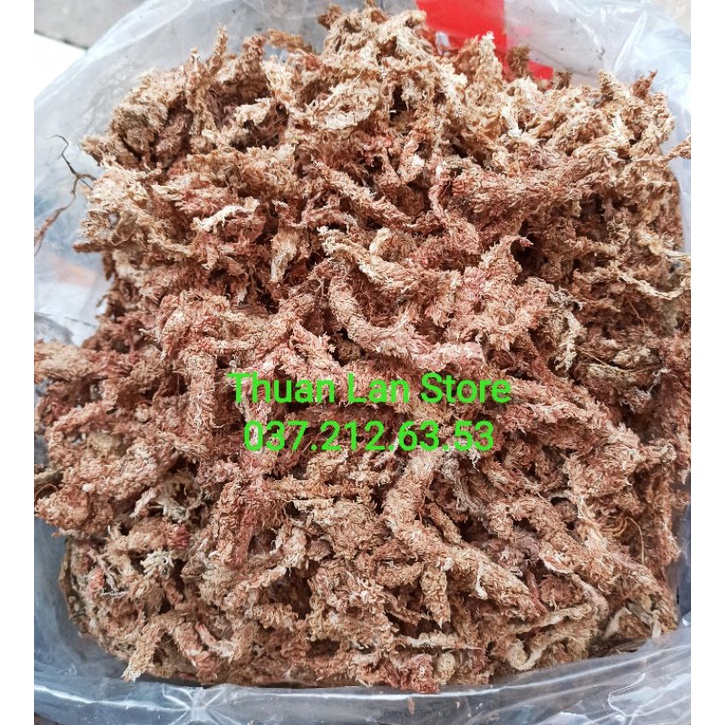Rêu Sâu Chile Cao Cấp Giữ Ẩm Tốt gói 50g