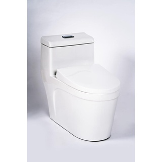 OKS_BỆT VỆ SINH C6645
