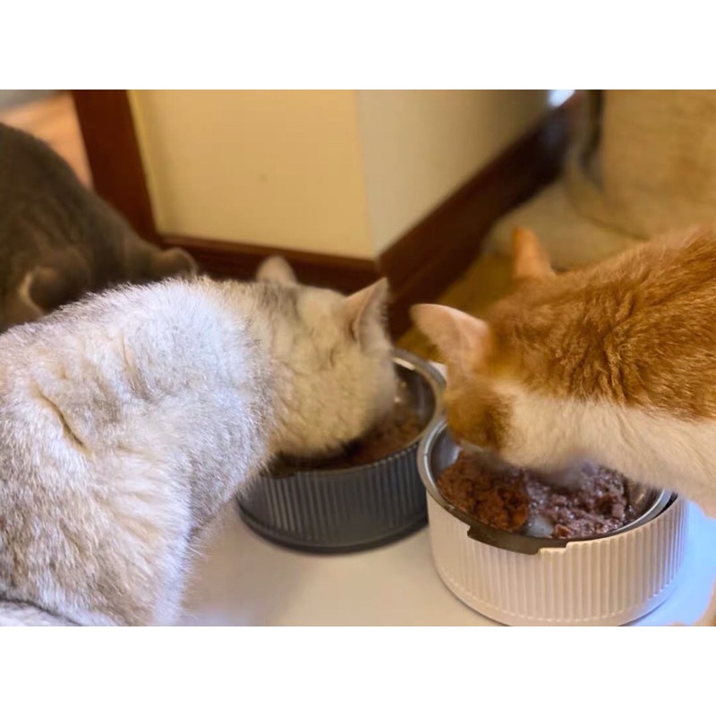 Bát Ăn Kháng Khuẩn Cho Thú Cưng - FURRYTAIL
