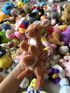 Gấu bông đồng giá size 17-20cm