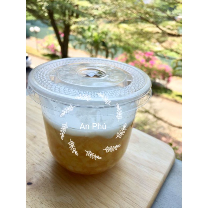 50 Ly Bầu PP 360ml