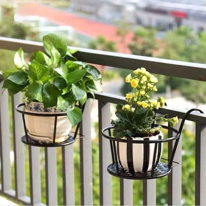 Giỏ Treo Hoa Ban Công TH Garden - Giỏ Sắt Treo Ban Công Cao Cấp Thép Chịu Lực Và Sơn Tĩnh Điện D'HITOKA DC150