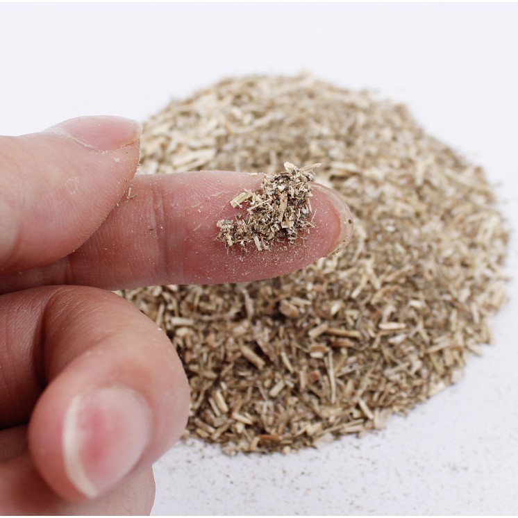 Cỏ bạc hà cho mèo catnip thư giãn ống 45ml, đồ chơi snack ói búi lông giảm căng thẳng Con Mèo Xiêm