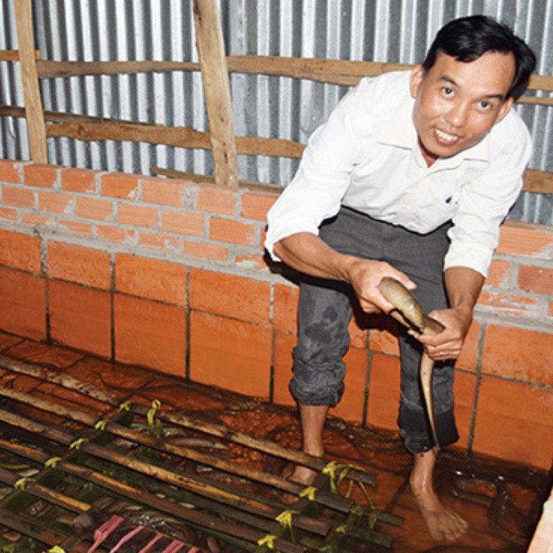 Combo 4 chai dịch trùn quế Eel Q