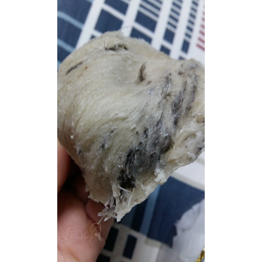 [Nguyên tổ, còn lông] Yến sào thô loại 1- tặng táo đỏ, đường phèn, long nhãn.