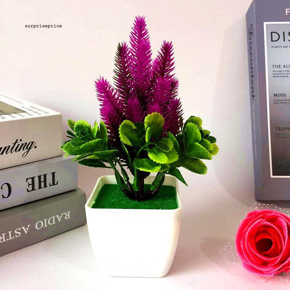 Chậu cây bonsai giả trang trí đa năng