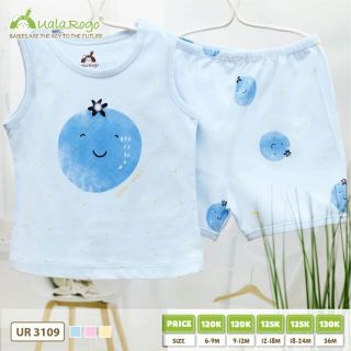 Bộ ba lỗ hoa quả Uala Rogo 3109