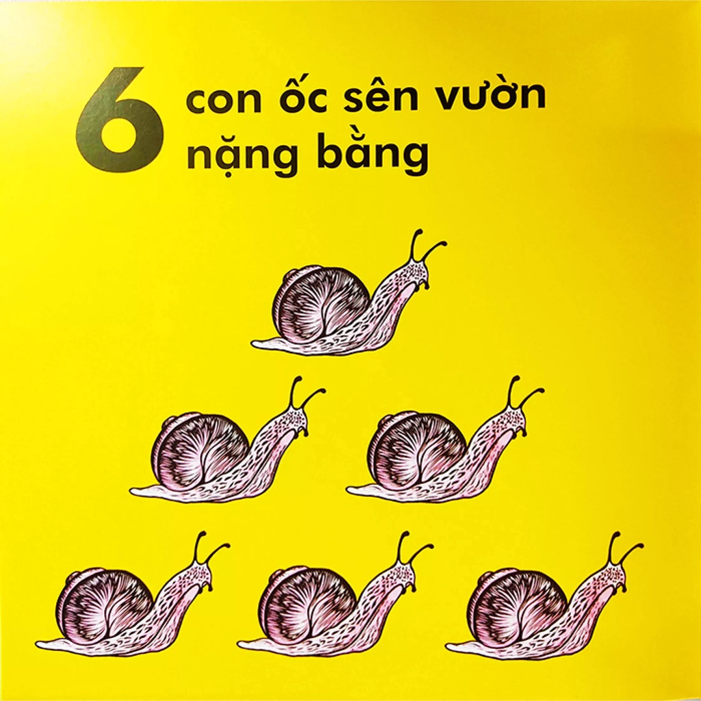 sách - Bọ rùa nặng chừng nào?
