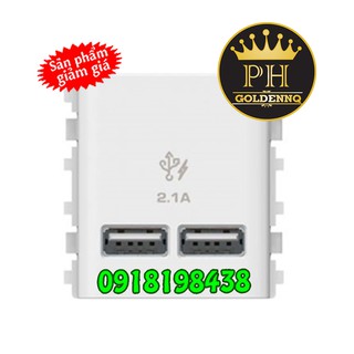 Ổ cắm sạc usb schneider 2.1a đôi concept