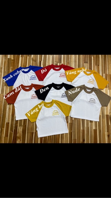 Áo croptop thêu hình chụp thật kèm video