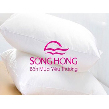 Ruột gối sông hồng mẫu mới 2018
