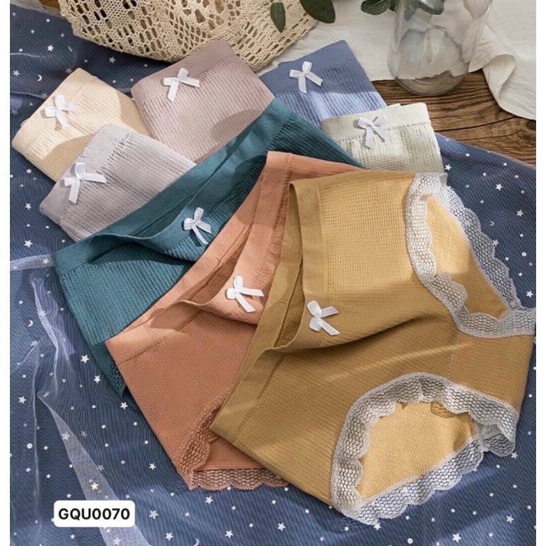 BÁN SỈ SÉT 10 QUẦN LÓT KHÁNG KHUẨN VIỀN REN M1120 CHO NỮ