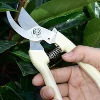 Kéo cắt tỉa cành cây SẮC vĩnh viễn HÀNg nhật tốt -kéo Sada..!!!
