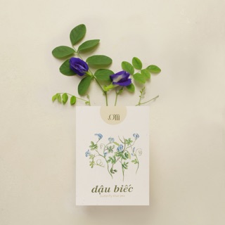 Hạt giống non-GMO - Cây Hoa Đậu Biếc | non-GMO seed Butterfly Blue Pea