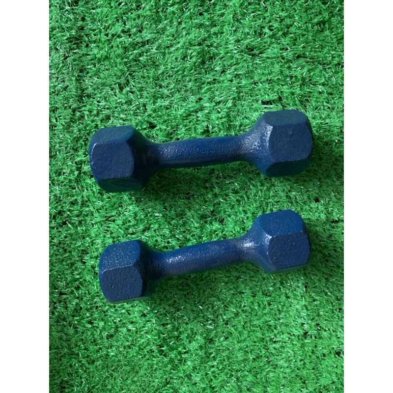 tạ tay 60k/1 quả (quả 2kg)