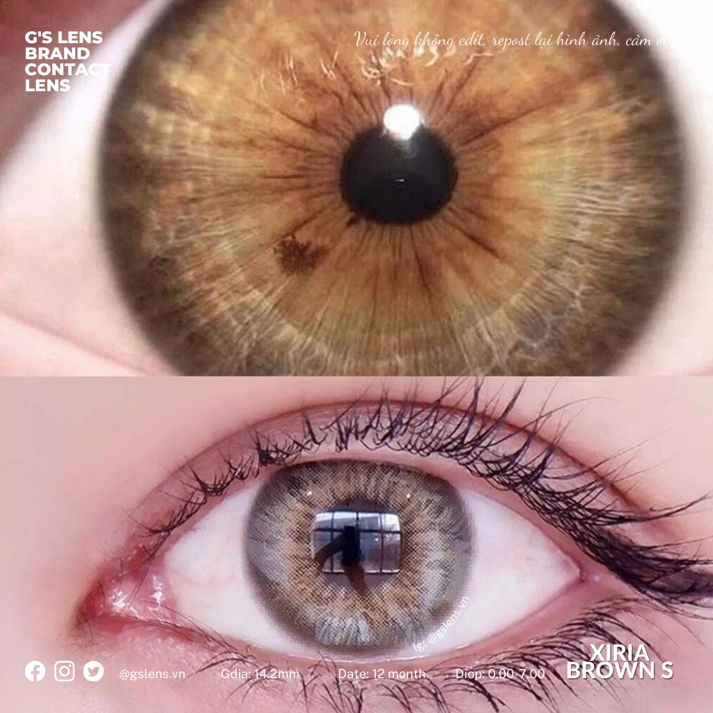 Lens Mắt Kính Áp Tròng Nâu Vân Tự Nhiên Xiria  Giãn Ít Có Từ 0 Đến 7 Độ Lệch Độ Size S 14.2mm