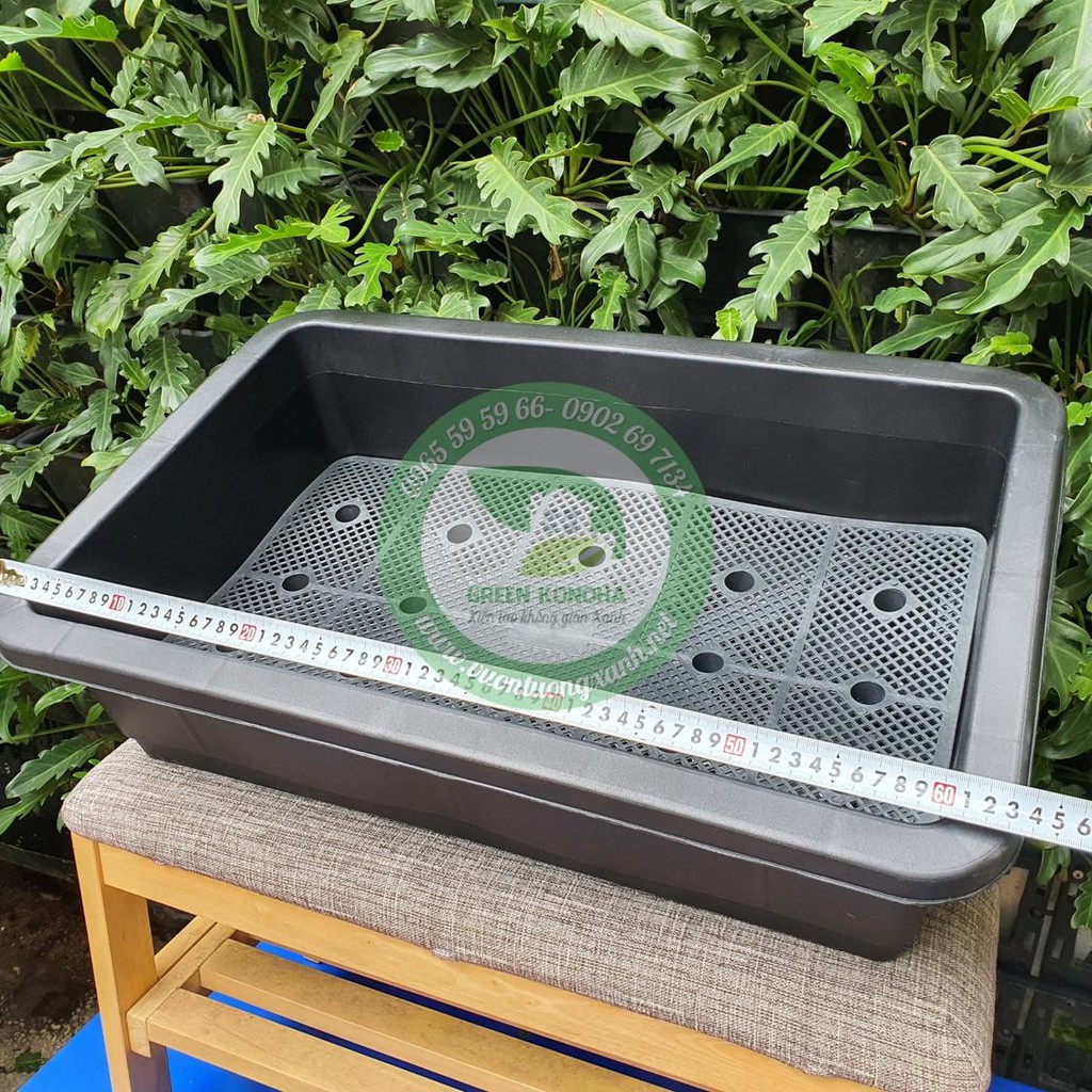 CHẬU TRỒNG RAU, TRỒNG RAU THỦY SINH SIÊU RỘNG GREEN KONOHA