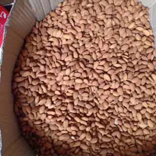 Hạt Hạnh Nhân Tách Vỏ Túi 500g ( sống)