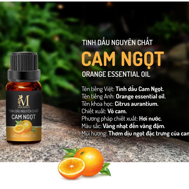 Tinh dầu xông phòng và đuổi muỗi cao cấp Mocotics gồm 2 lọ tinh dầu: Tinh dầu bạc hà (10ml) + Tinh dầu Cam (10ml)