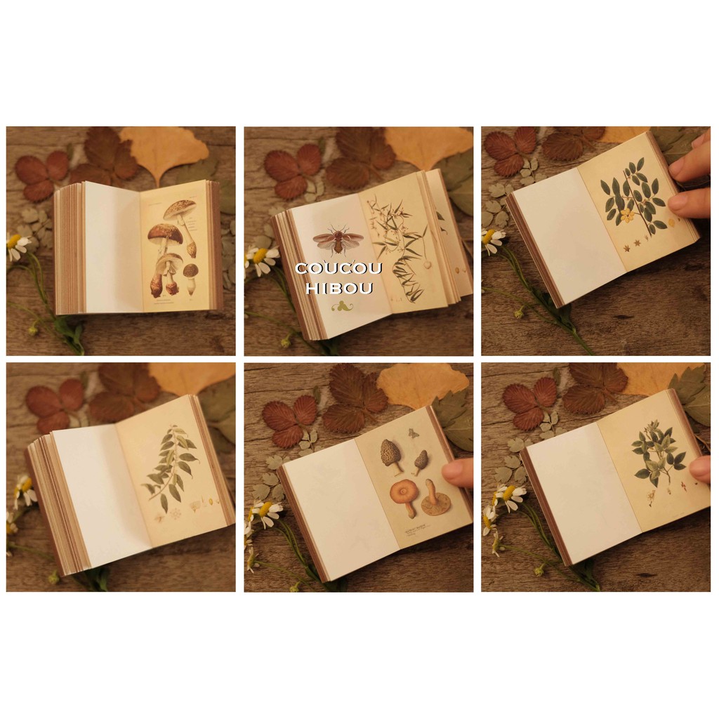 Mini Book: sổ lá cỏ 100 trang