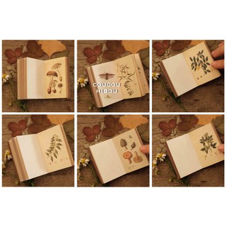 Mini Book: sổ lá cỏ 100 trang