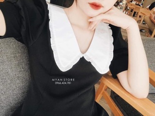 Váy đen cổ sen trắng