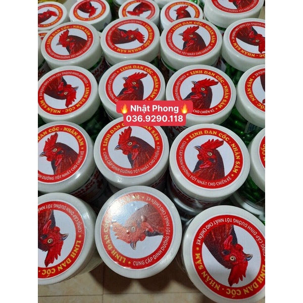 LINH ĐAN CÓC NHÂN SÂM -