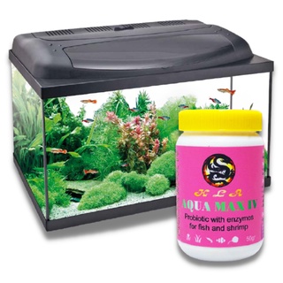 Men Tiêu Hóa Cho Cá Rông Aqua Max IV