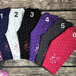 Combo 6 quần legging cho bé gái