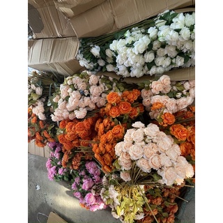 trà 2 bông 1 nụ