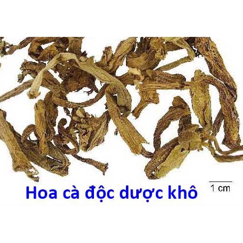 Hoa Cà Độc Dược Khô (1kg)