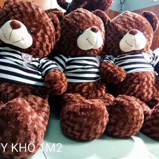 Gấu teddy cao 1m20