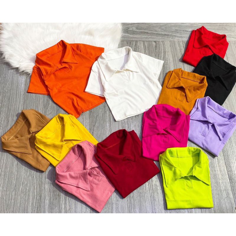 Âo cổ bẻ cloptop