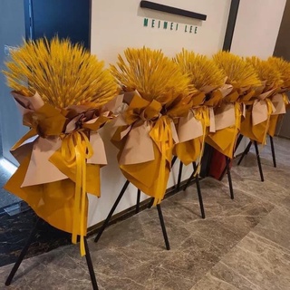 100 bông lúa mạch khô