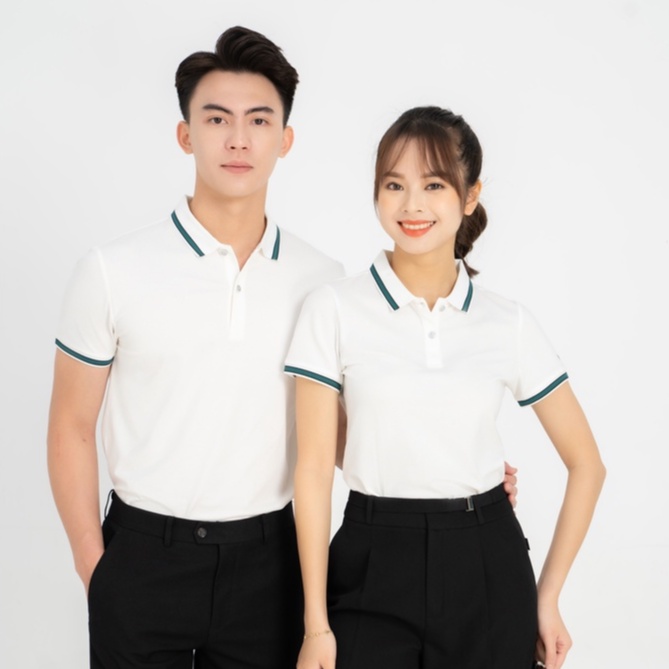 Áo polo YODY nữ vải pique thiết kế mắt chim phối tay cổ kẻ APN5036