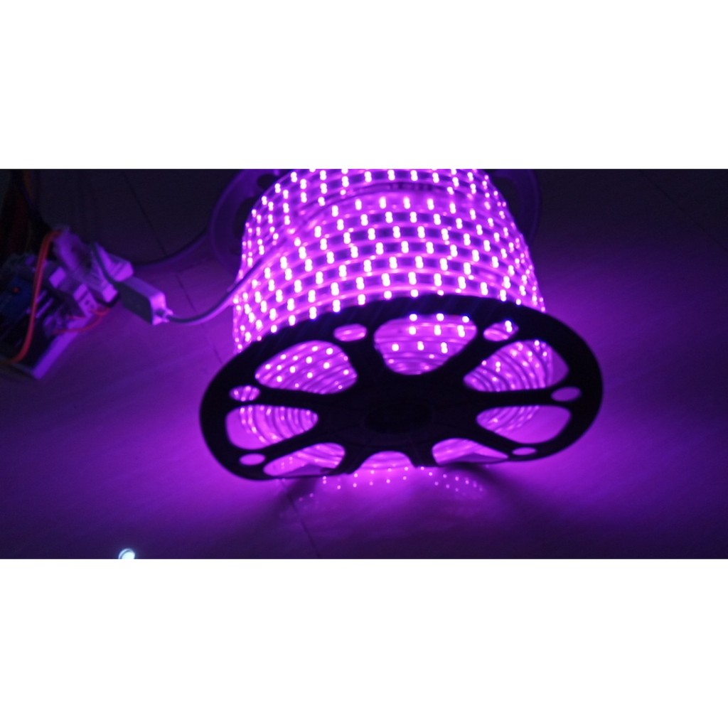 Combo 3m, 5m, 10m, 15m, 20m Led dây 2 hàng 2835 - 120 mắt  đấu sẵn nguồn