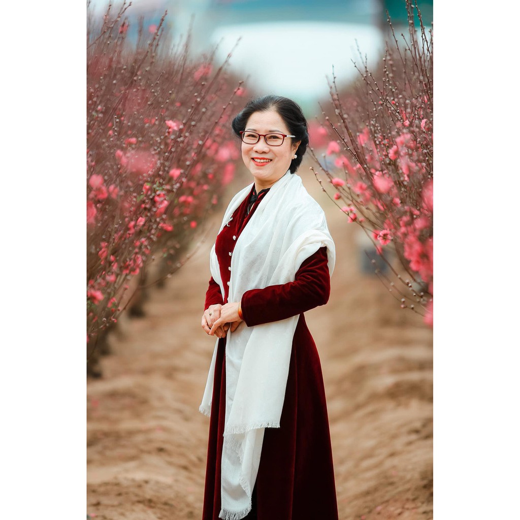 Đầm dự tiệc, đi chơi, du lịch, đi chùa cao cấp, sang trọng