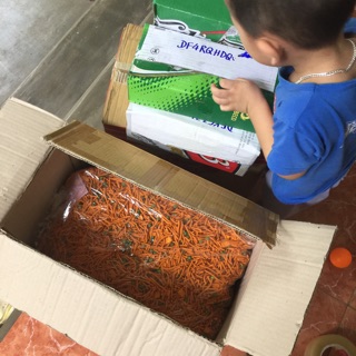 Sỉ bim bim que đậu hà lan 5kg