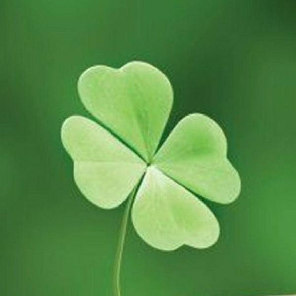 Tổng Kho Gia Dụng 678