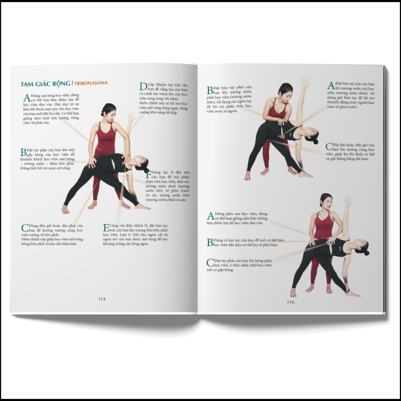 Sách - Nghệ thuật căn chỉnh tư thế yoga