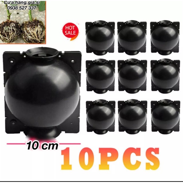 10 Bầu nhựa PP cao cấp size 10 x 12cm bầu chiết cành chuyên hỗ trợ chiết cành cực tốt tái sử dụng trong 4 năm giá rẻ