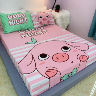 Ga gối cotton sét 3 món