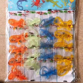 Thạch sùng dính (20 con)