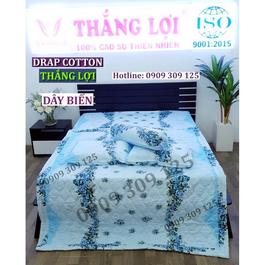 Bộ drap 1m6 + mền Thắng lợi cao cấp (ga giường 5 món) chuẩn logo cotton 100%