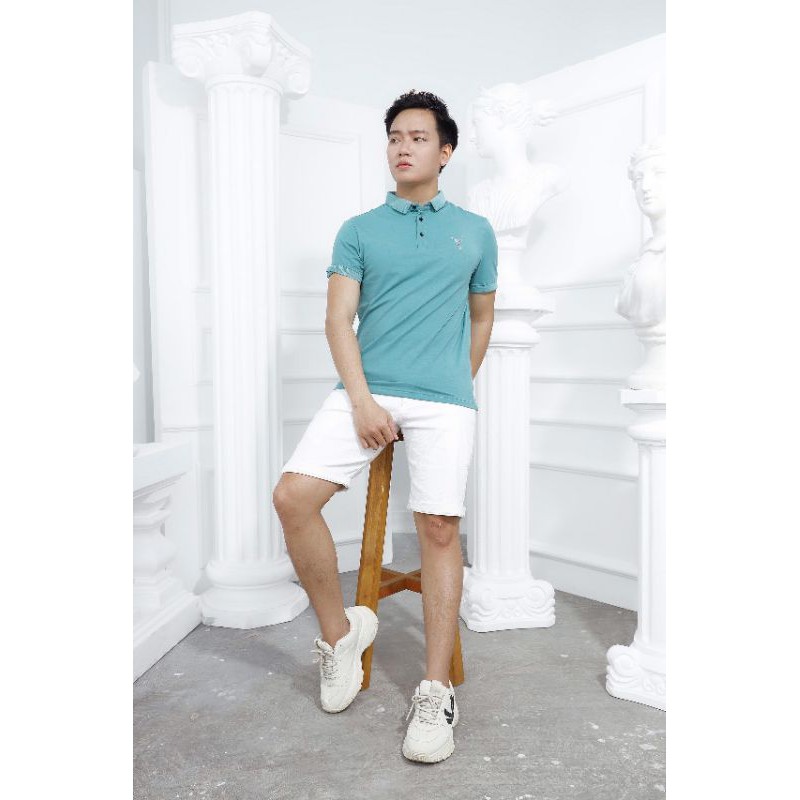 áo thun nam polo
