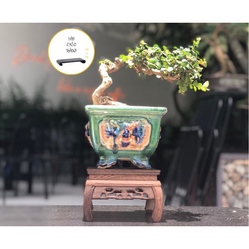 Đôn gỗ, Kệ gỗ mini kê bonsai, ấm trà, tượng trang trí - Ảnh thật