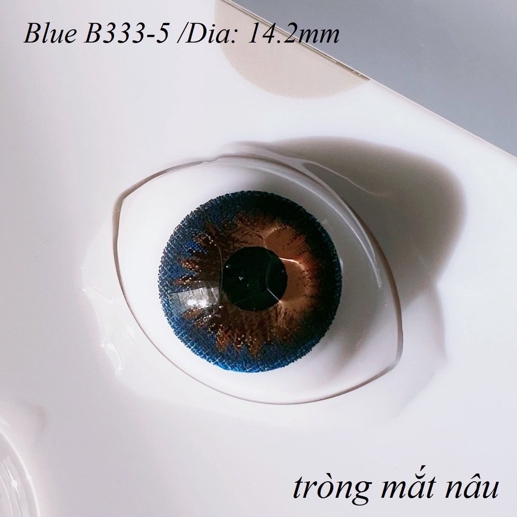 Lens Blue B333-5 [EXP 9/2023] (kính áp tròng Sona Hàn Quốc)