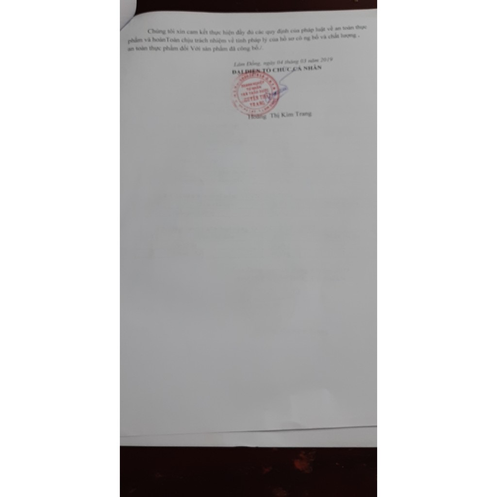 Trà Bồ Công Anh - Nguyên Thái Trang – Thảo Dược Thiên Nhiên