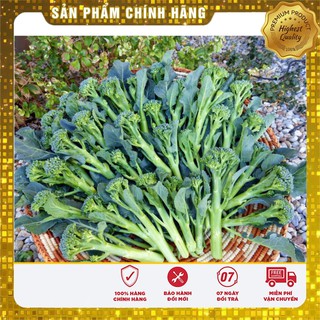 Hạt Giống Súp Lơ Mini LUCKYSEEDS
