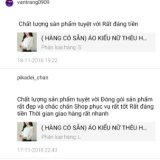 (Hàng có sẵn) Áo kiểu nữ thêu hoa( Có ảnh thật)